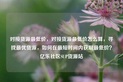 对接货源最低价，对接货源最低价怎么算，寻找最优货源，如何在最短时间内获取最低价？亿乐社区SUP货源站  第1张